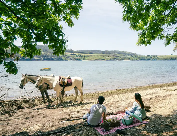 paseos-a-caballo